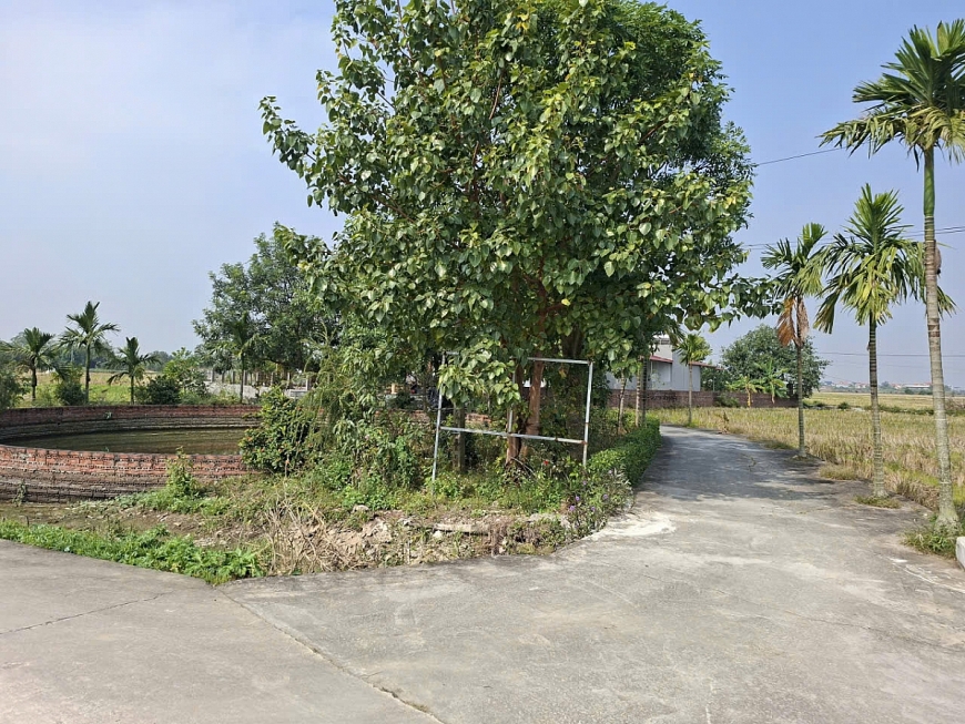 Cần xem xét, xử lí dứt điểm đơn tố cáo của người cao tuổi