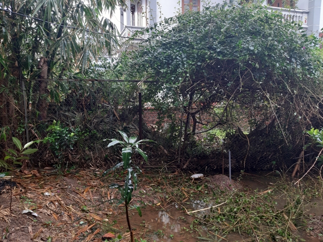 &Ocirc;ng Nguyễn Đức Bổ x&acirc;y tường bao chiếm đất, được ch&iacute;nh quyền x&atilde; bỏ qua, cho tồn tại