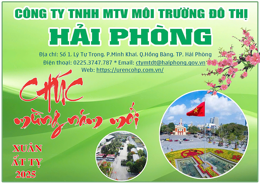 cong-ty-mtdt-hai-phong