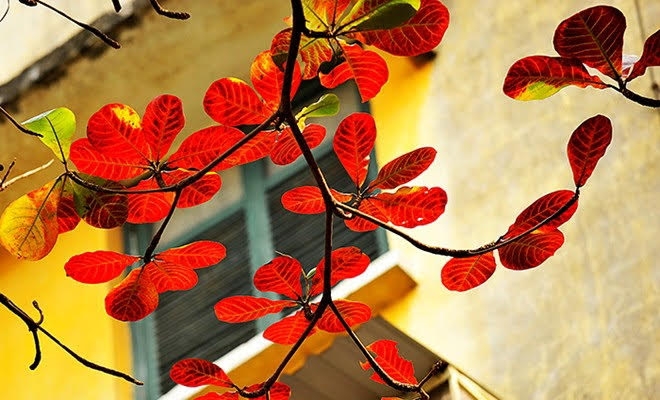 Tử vi 12 con giáp ngày 7/1/2023. Ảnh minh hoạ