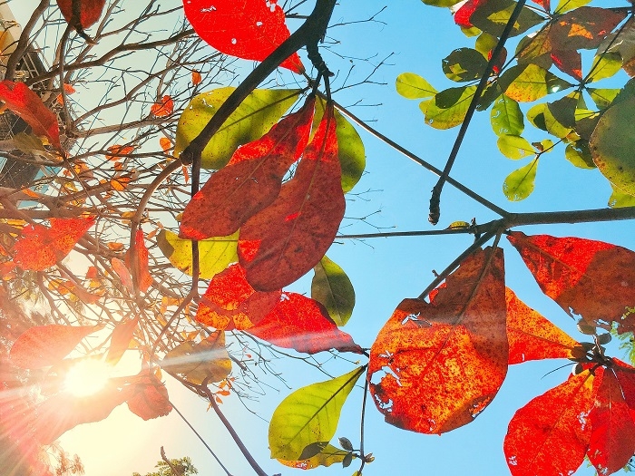 Tử vi 12 con giáp ngày 7/1/2023. Ảnh minh hoạ