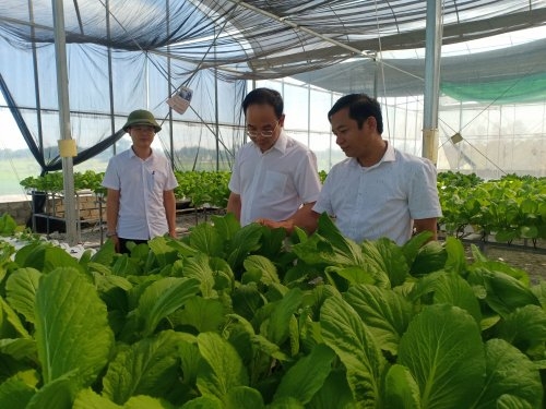 Huyện Nông Cống, tỉnh Thanh Hóa: Sức bật từ chương trình xây dựng nông thôn mới