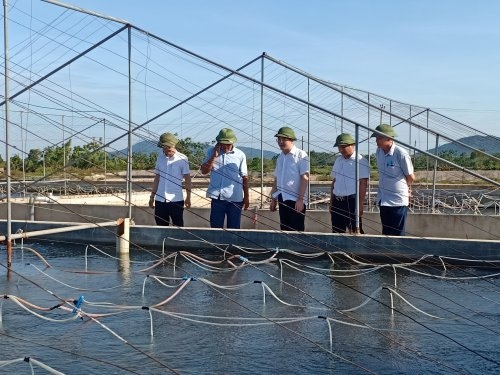 Đồng chí Chủ tịch UBND huyện Nguyễn Lợi Đức cùng đoàn đã đi thăm HTX sản xuất rau, củ, hoa, cây ăn quả an toàn công nghệ cao Chung Thủy, tiểu khu Lê Xá 2 thị trấn Nông Cống và mô hình thủy sản công nghệ cao của gia đình anh Lê Thiên Lâm xã Trường Giang.