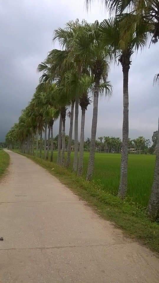 Những con đường nông thôn và thị trấn đẹp như tranh