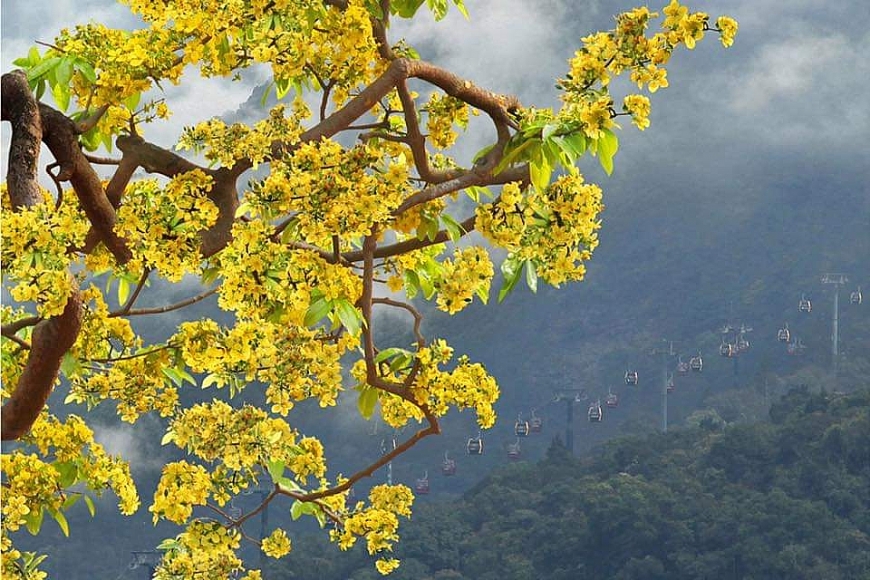 Công tác chuẩn bị khai Hội Xuân Yên Tử 2023 đã hoàn tất với nhiều hoạt động đặc sắc