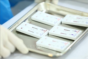 Chuyển cơ quan điều tra làm rõ hàng chục gói thầu mua sắm thiết bị y tế chống dịch COVID-19 ở Hà Nội