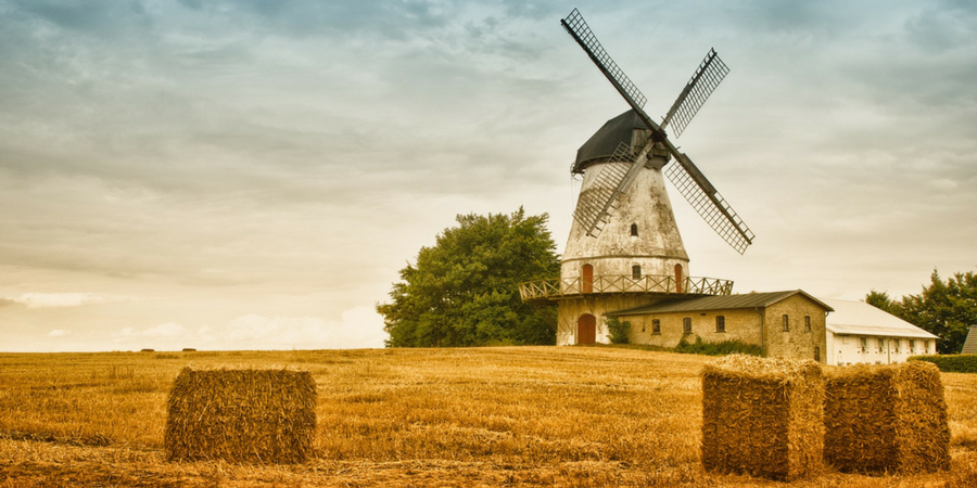 Tử vi 12 con giáp ngày 1/2/2023. Ảnh minh hoạ