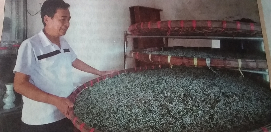 Ông Trần Quang Điều, Chi hội NCT số 2 thôn Duyên Hải chăm sóc tằm. 