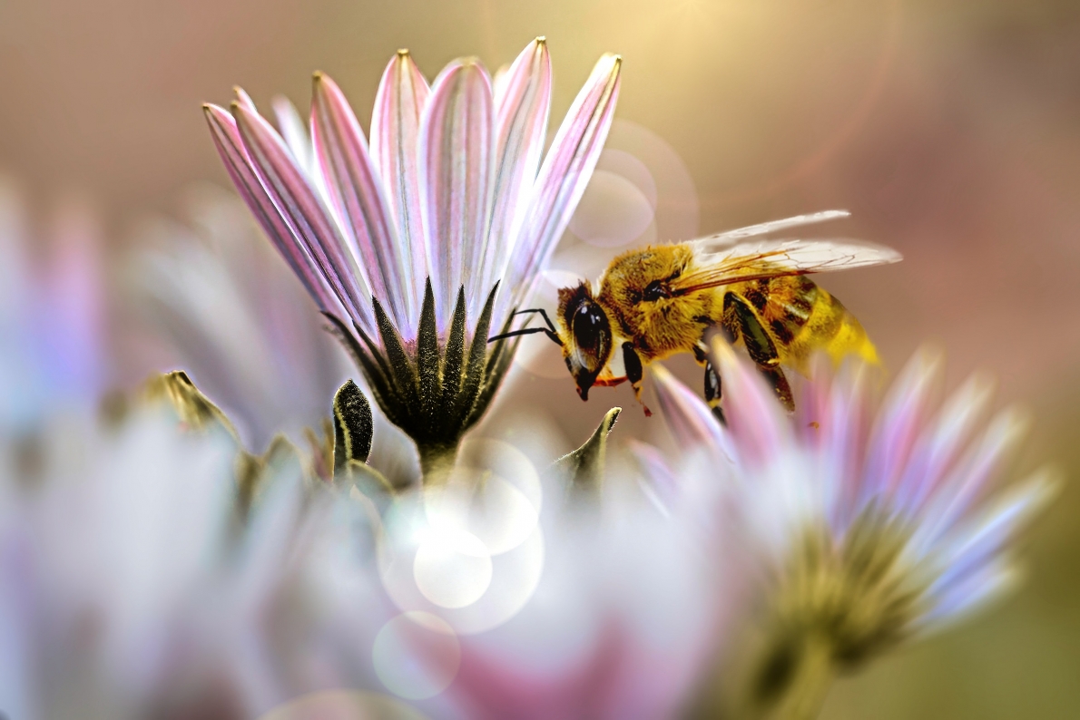 Tử vi 12 con giáp ngày 10/2/2023. Ảnh minh hoạ