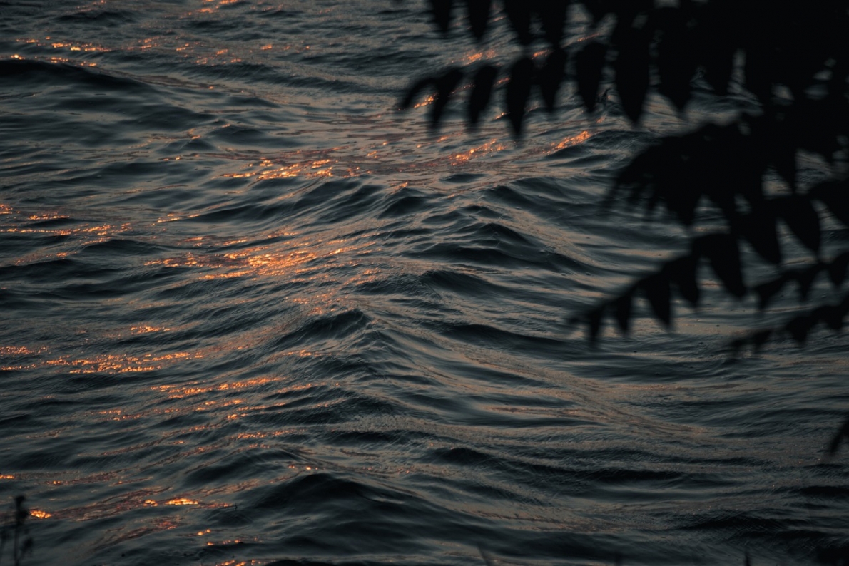 Tử vi hôm nay 10/2: Tuổi Thân lạc quan, yêu đời