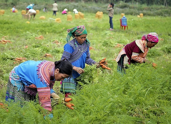 Nét đẹp về đời sống, văn hóa của đồng bào các dân tộc ở Bảo Yên