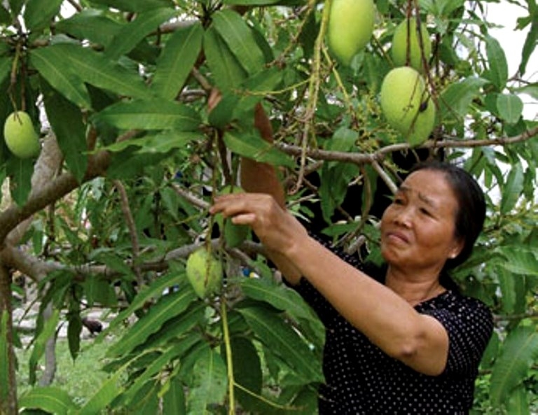 NCT tỉnh Đắk Nông tích cực lao  động sản xuất, xóa đói giảm nghèo