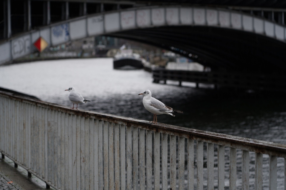 Tử vi 12 con giáp ngày 14/2/2023. Ảnh minh hoạ