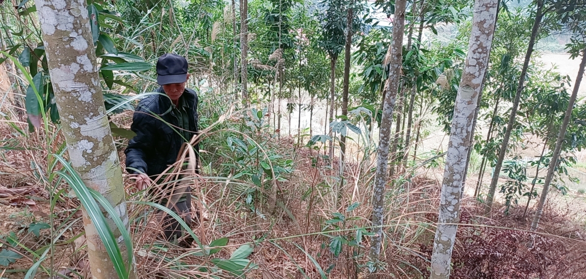 Gương sáng trong phong trào hiến đất làm đường nông thôn ở xã Cam Cọn