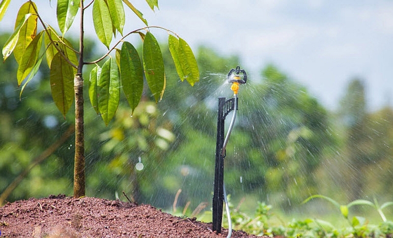 Người cao tuổi ứng dụng công nghệ vào sản xuất