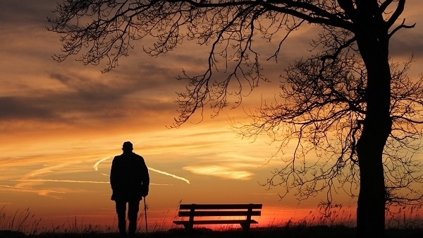 Nửa đời còn lại