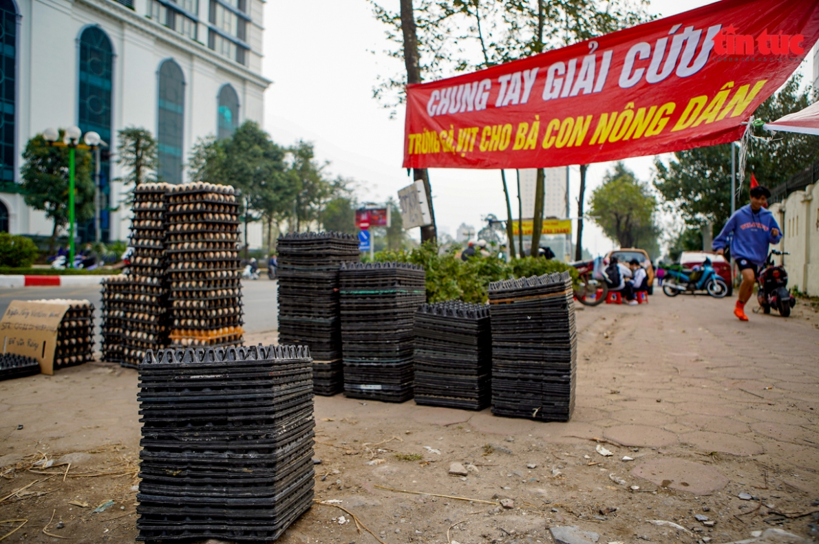 Tuy nhiên, nguồn gốc số trứng gà và vịt này đang là một dấu hỏi lớn, vì lãnh đạo huyện Thanh Oai bác bỏ thông tin cho rằng số hàng hoá trên xuất phát từ xã Liên Châu.   