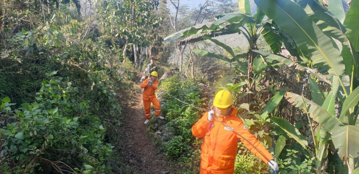 Mạo danh Tổng Công ty Điện lực miền Bắc thông tin không đúng sự thật nhằm lừa đảo khách hàng