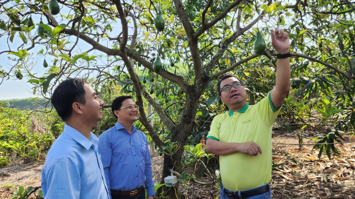 Đặng Dương Minh Hoàng và hành trình góp phần thúc đẩy phát triển nông nghiệp Việt