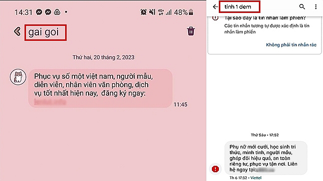 Nguy cơ nhiễm mã độc trong tin nhắn rác chứa nội dung nhạy cảm, link “web đen”