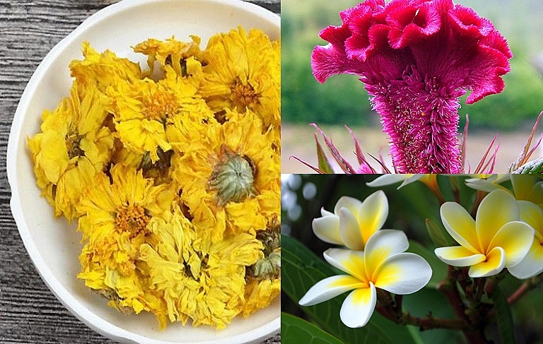 Ba loại hoa có tác dụng hỗ trợ hạ huyết áp