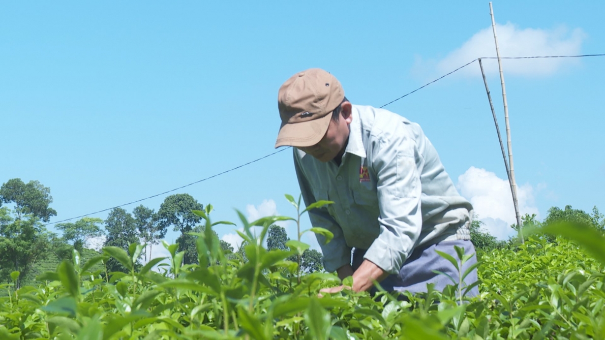 Luôn phát huy tốt vai trò “Tuổi cao – Gương sáng”