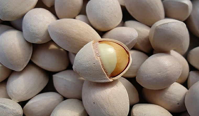 Công dụng chữa bệnh của cây bạch quả