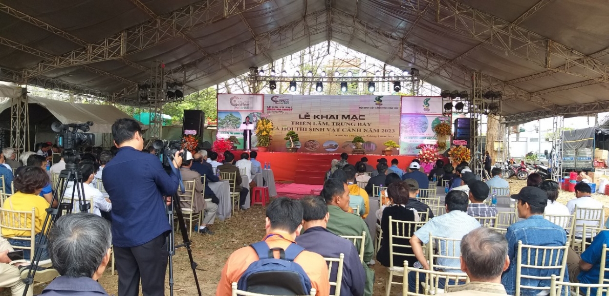 Nơi giao lưu văn hóa Sinh vật cảnh của Tây Nguyên và các tỉnh miền Trung