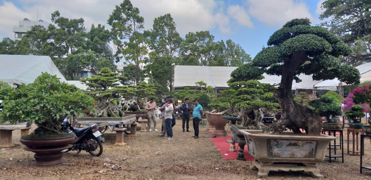 Nơi giao lưu văn hóa Sinh vật cảnh của Tây Nguyên và các tỉnh miền Trung