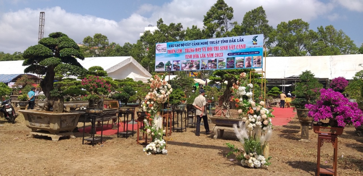 Nơi giao lưu văn hóa Sinh vật cảnh của Tây Nguyên và các tỉnh miền Trung
