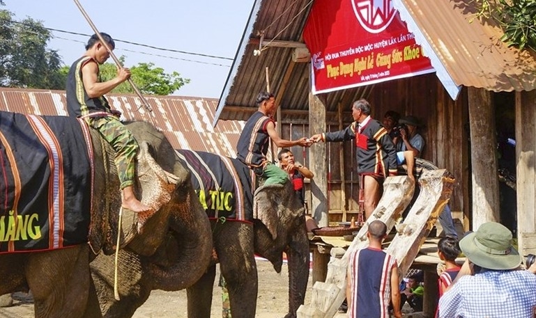 Hội đua thuyền độc mộc hấp dẫn du khách đến với Lễ hội Cà phê Buôn Ma Thuột lần thứ 8 năm 2023