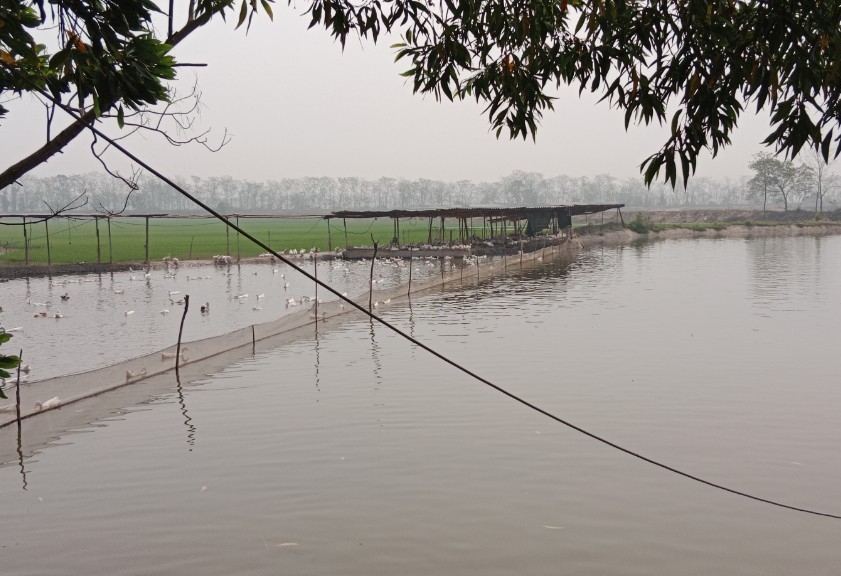 Bước chuyển mình mạnh mẽ ở xã Bình Định