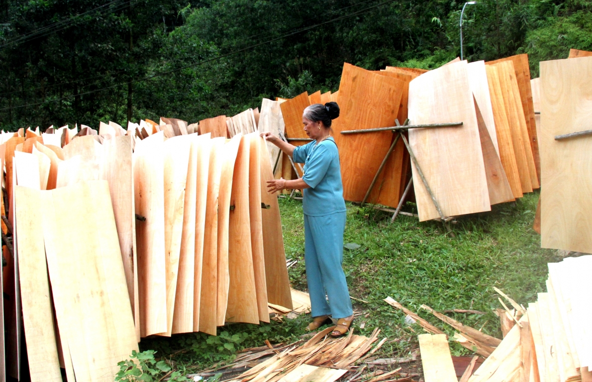 Mô hình người cao tuổi làm kinh tế giỏi huyện Yên Sơn, tỉnh Tuyên Quang (2)