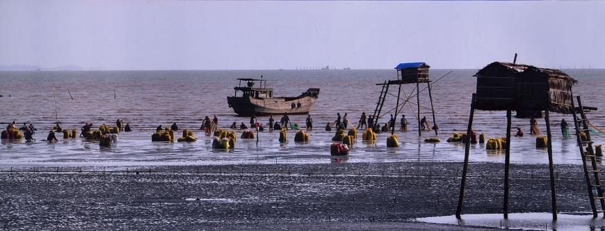 Về nơi “biển hát”