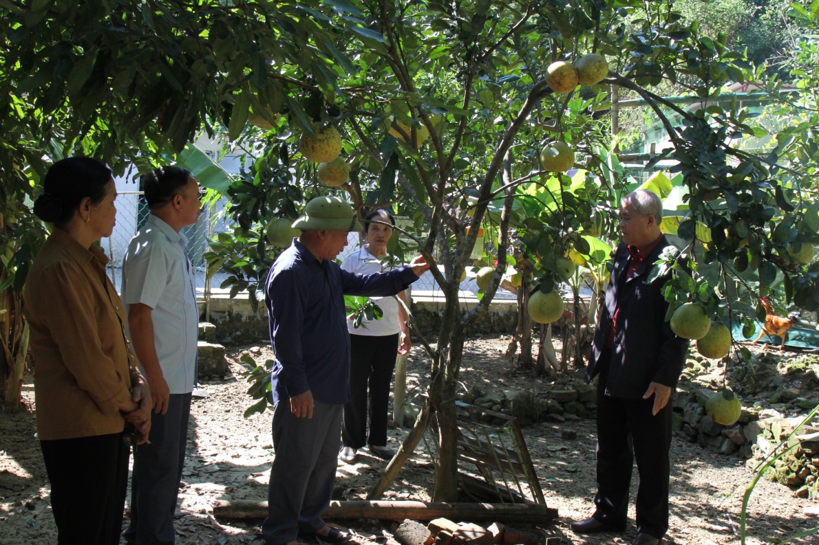 Thăm mô hình tăng thu nhập của CLB LTHTGN ở huyện Nghi Xuân, tỉnh Hà Tĩnh