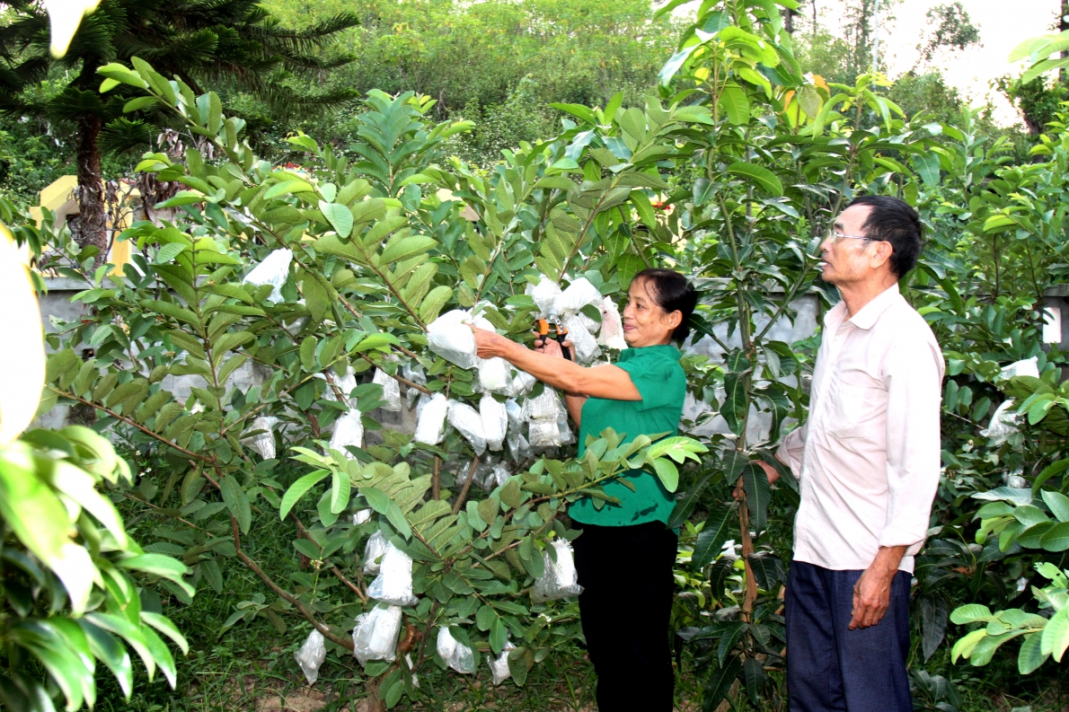 Thăm mô hình NCT làm kinh tế giỏi tỉnh Cao Bằng