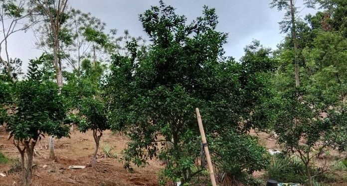 Xây dựng tổ chức Hội Người cao tuổi vững mạnh