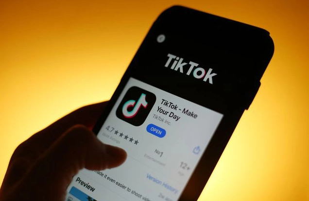 Dự kiến từ tháng 5 Bộ TT&TT sẽ thanh tra toàn diện TikTok tại Việt Nam. Ảnh minh hoạ