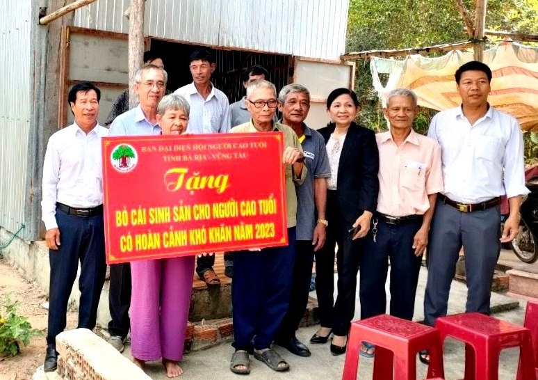 Hội NCT tỉnh Bà Rịa - Vũng Tàu tặng bò sinh sản cho hội viên nghèo