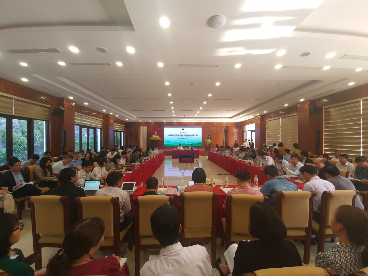 Tập huấn về nội dung đầu tư hỗ trợ phát triển vùng trồng dược liệu quý vùng dân tộc thiểu số, miền núi