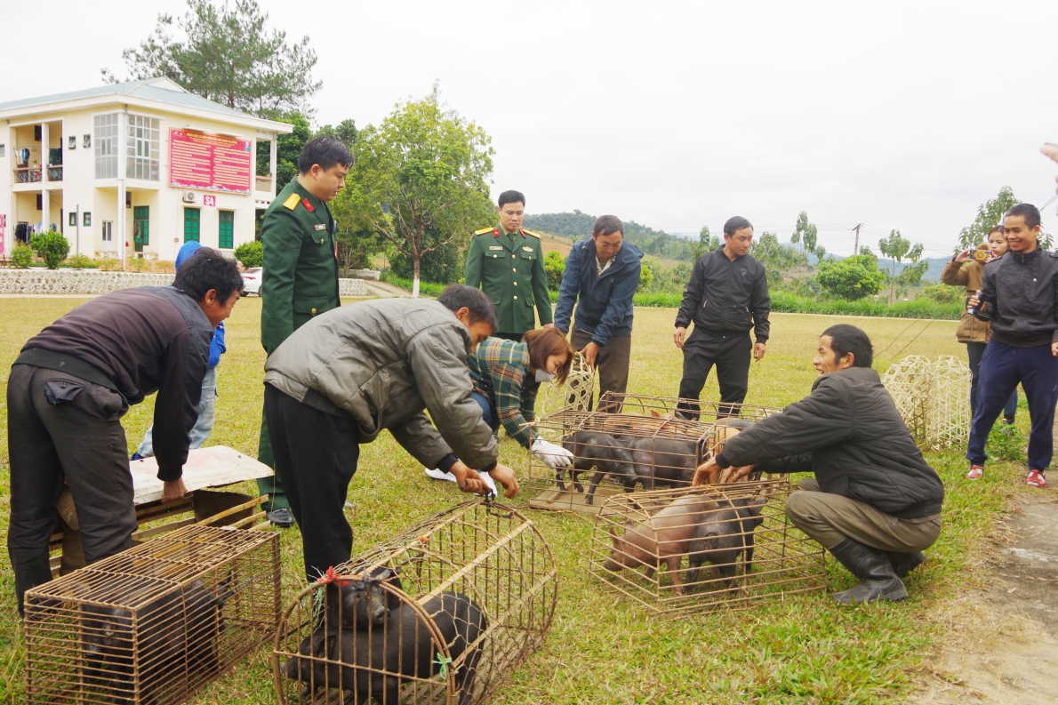 Đồng bào Cơ Tu làm kinh tế giỏi ở huyện miền núi Tây Giang