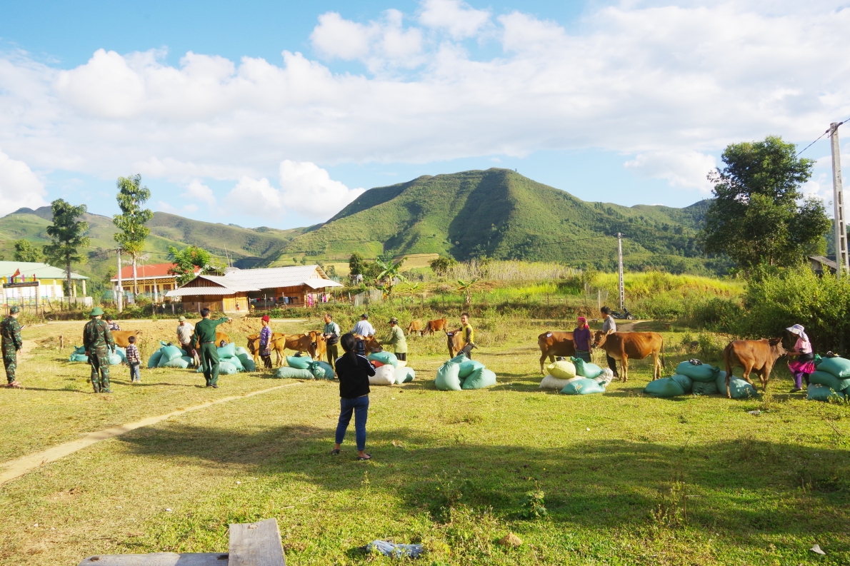 Thực hiện tốt “Phát triển kinh tế, xã hội theo mô hình bộ đội gắn với dân bản vùng dân tộc thiểu số và miền núi”