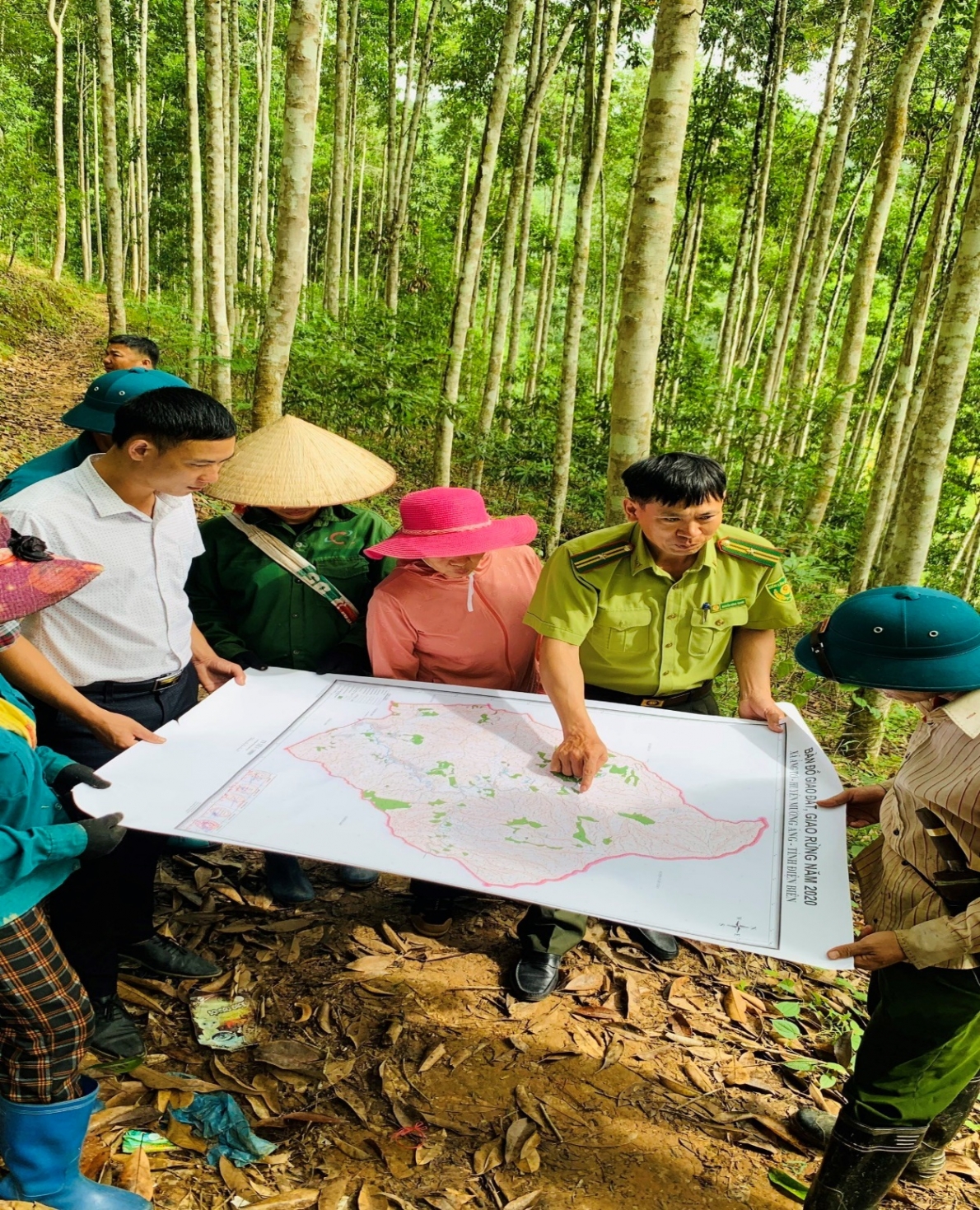 Chi cục Kiểm lâm tỉnh Điện Biên: Tăng cường công tác kiểm tra, phòng, chống cháy rừng