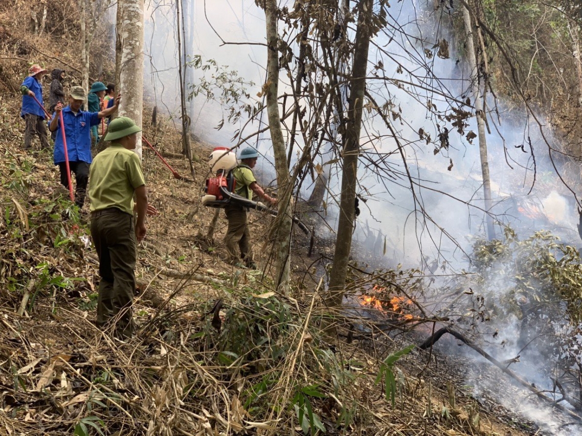Chi cục Kiểm lâm tỉnh Điện Biên: Tăng cường công tác kiểm tra, phòng, chống cháy rừng