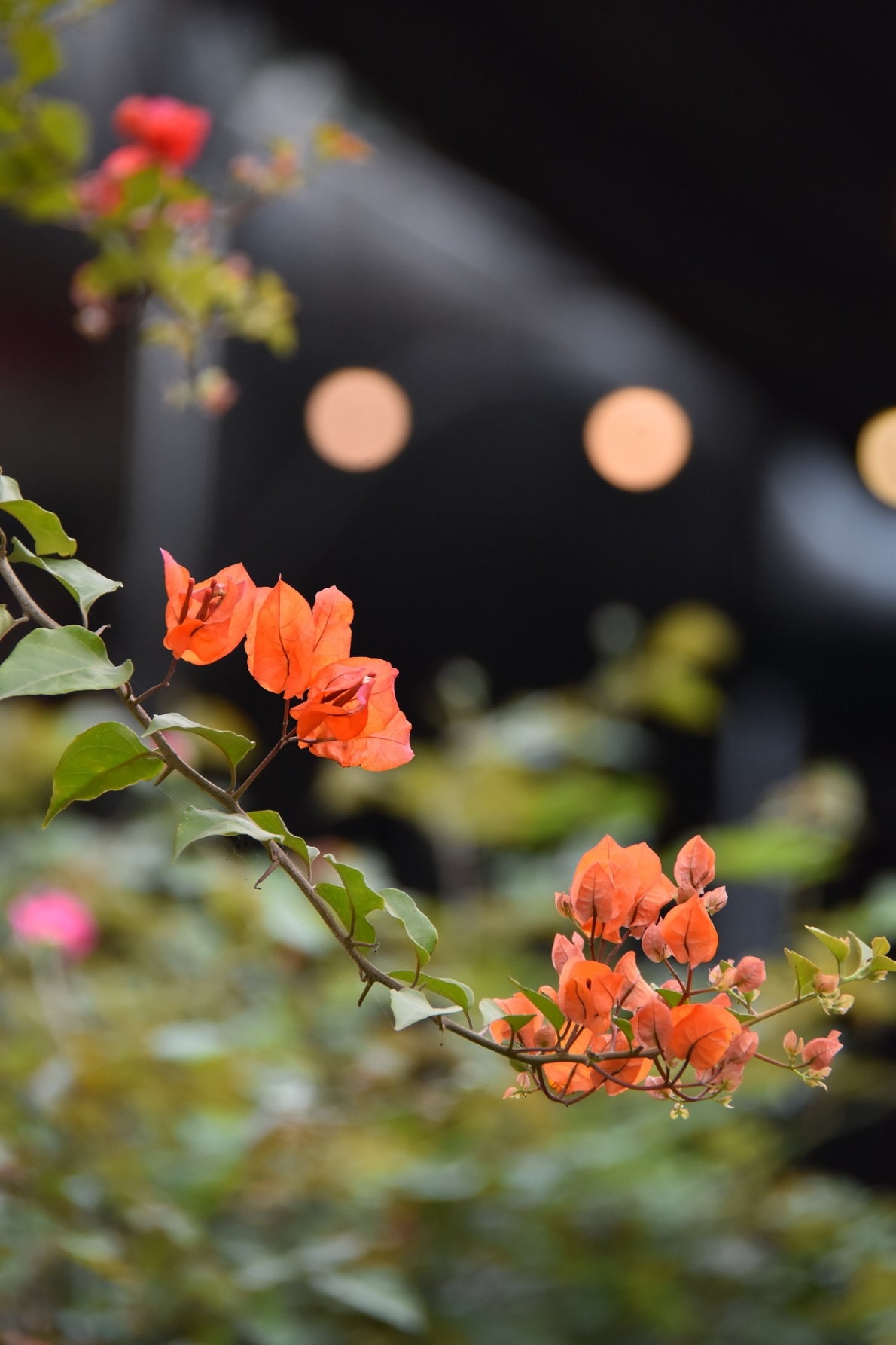 Tử vi 12 con giáp ngày 16/4/2023. Ảnh minh hoạ