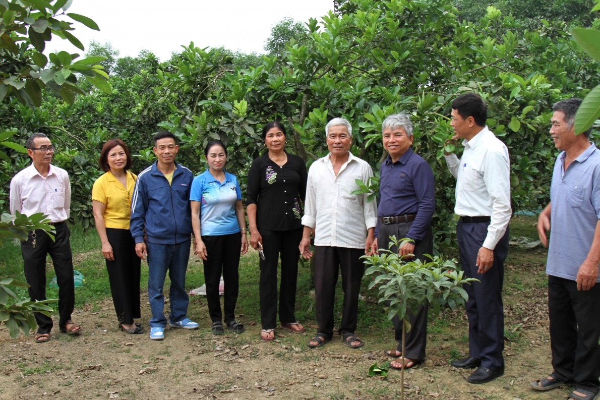 Hệ thống chính sách đối với NCT