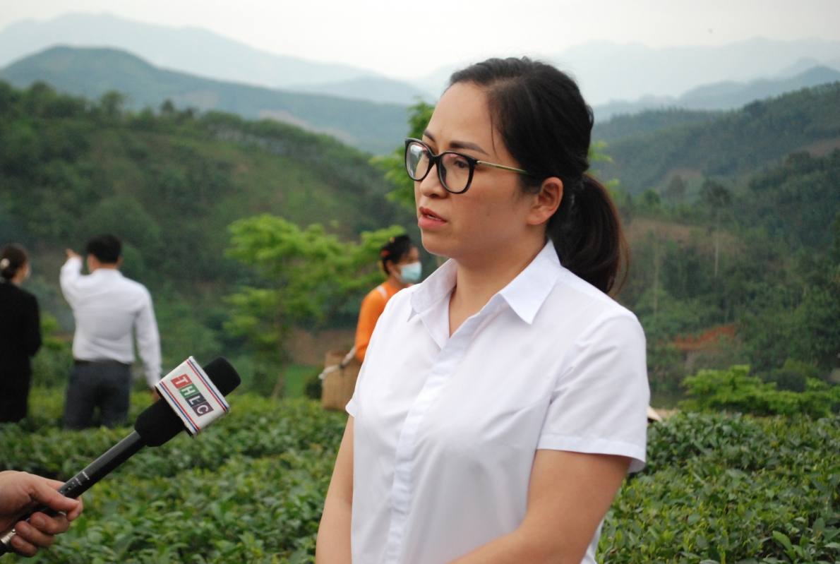 Biến vùng đất nghèo khó năm xưa trở nên trù phú nhờ trồng cây chè