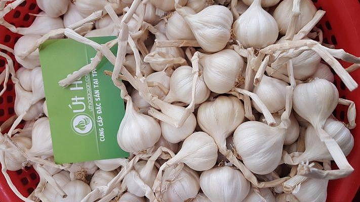 Thúc đẩy việc đưa hàng hóa vùng duyên hải Nam Trung bộ vào hệ thống bán lẻ của Central Retail