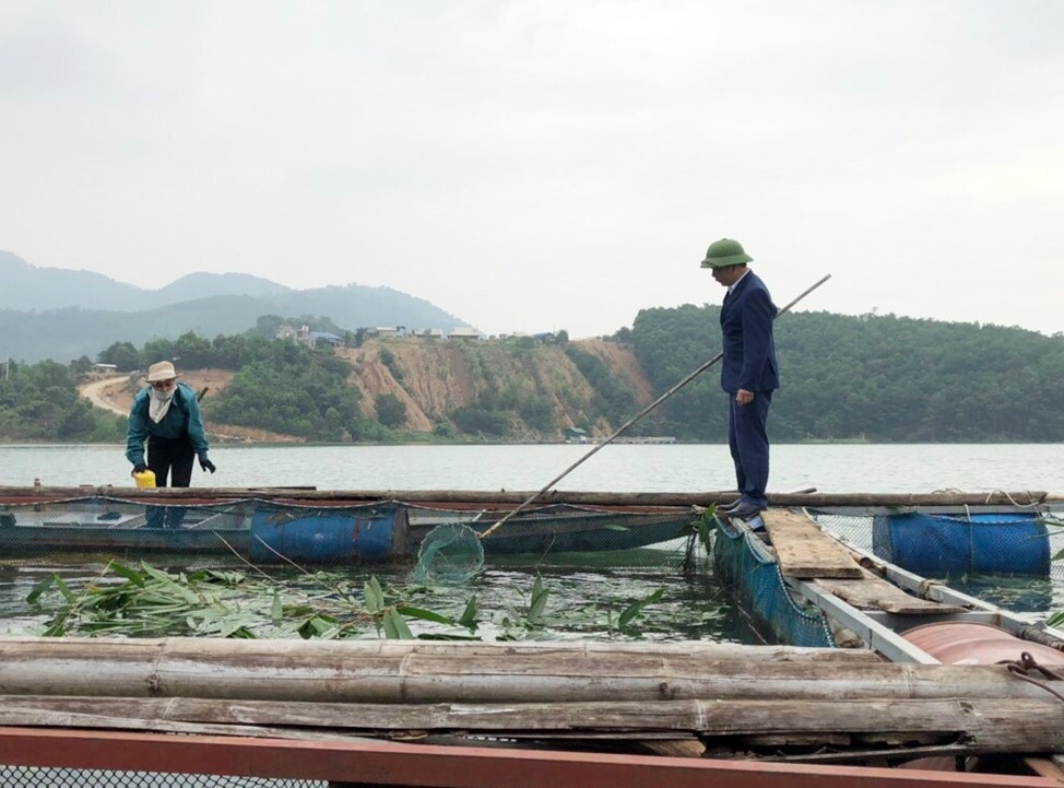 Nuôi cá VietGAP trên lòng hồ Thủy điện Hòa Bình, nông dân huyện nghèo Đà Bắc đổi đời