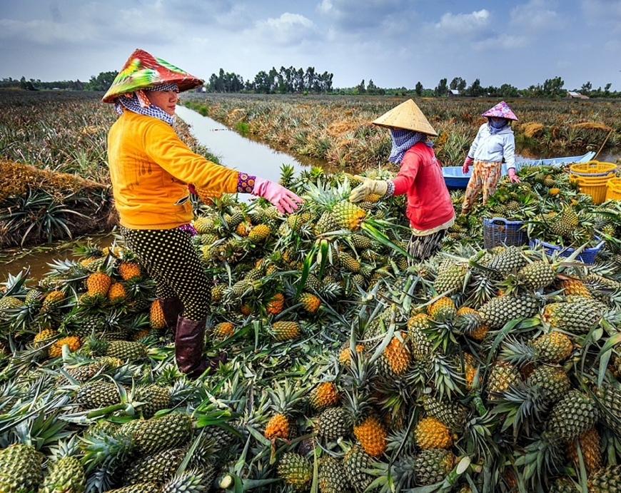 Tỉnh trẻ vươn mình